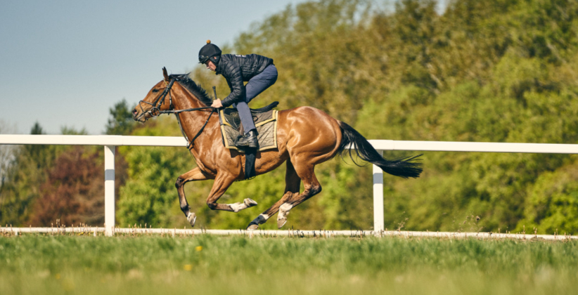 Horse Racing Documentaries Worth Seeing