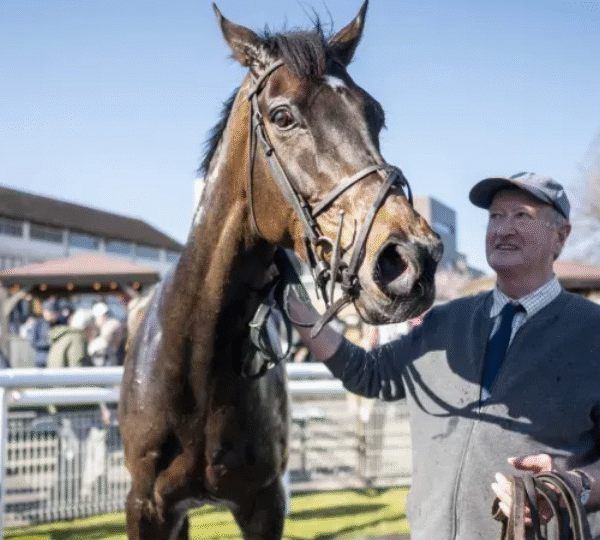 Horse Racing Terms Every Beginner Should Know