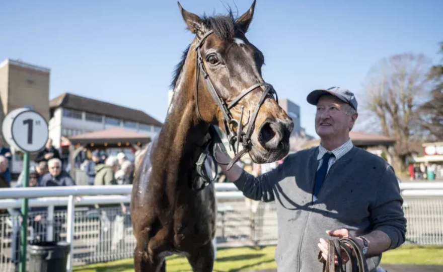 Horse Racing Terms Every Beginner Should Know