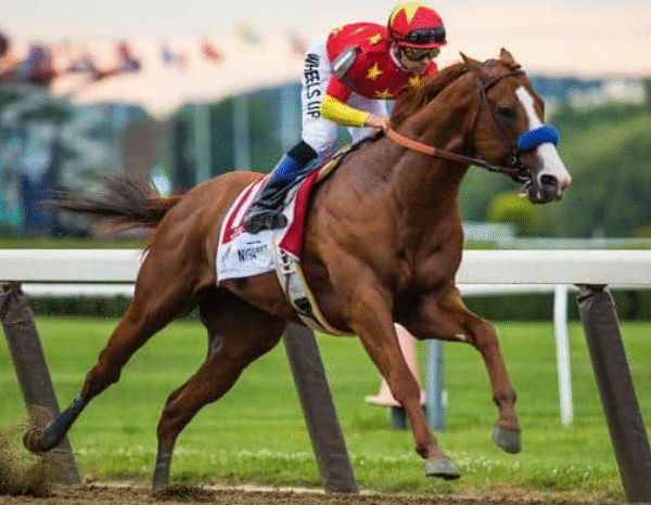Hall of Fame Racehorses You Should Know
