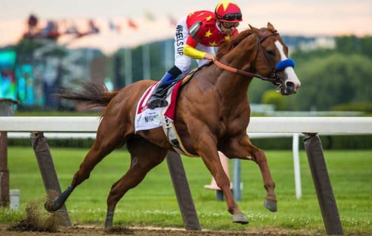 Hall of Fame Racehorses You Should Know