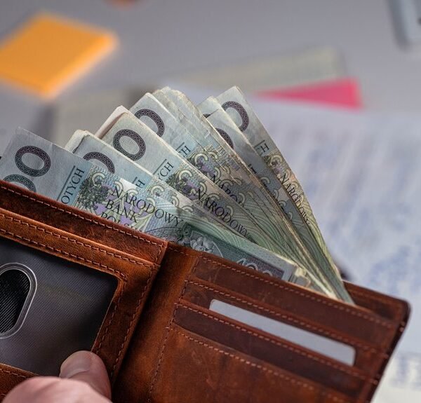 zlaner net worth earnings overview
