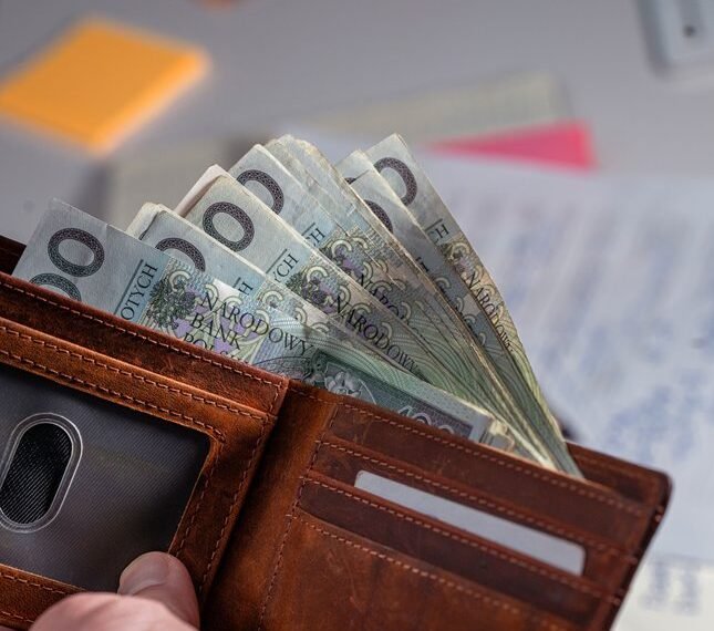 zlaner net worth earnings overview