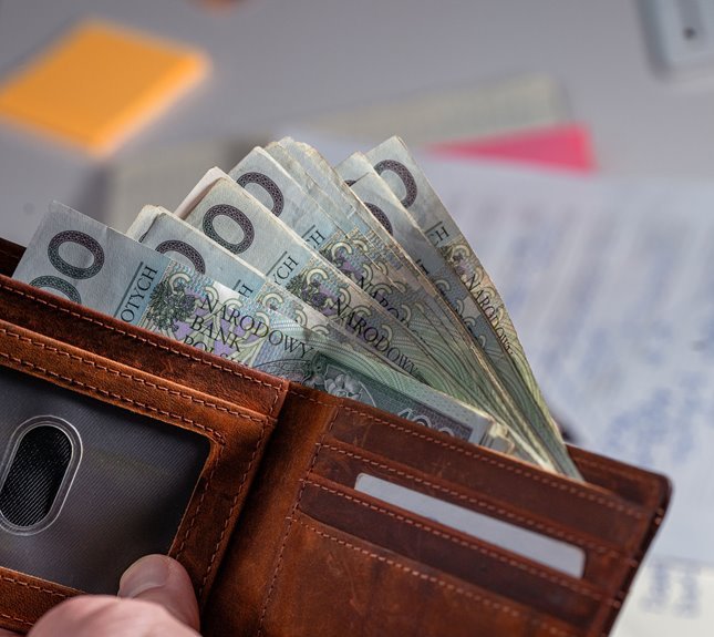 zlaner net worth earnings overview
